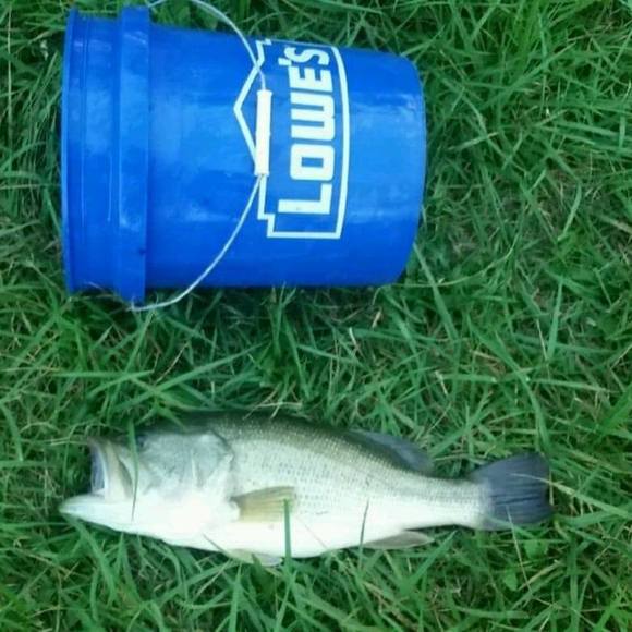 Meet your Posher, Damian - Picture 1 of 1